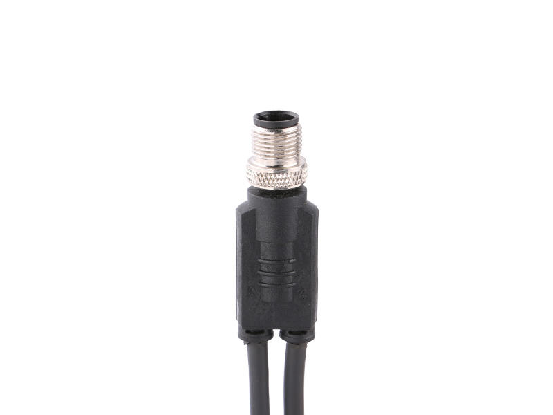 M12 Male Y-Splitter Molded Cable-1